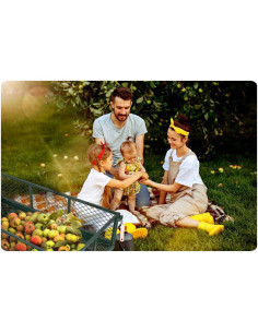 Carucior de gradina, transport, metalic, max. 300 kg, 95x52x57 cm, Handtruck 2