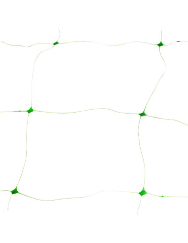 Plasa pvc, pentru urcarea plantelor in cultura castravetilor, 2x5 m