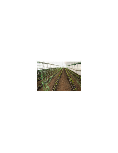 Plasa pvc, pentru urcarea plantelor in cultura castravetilor, 2x5 m