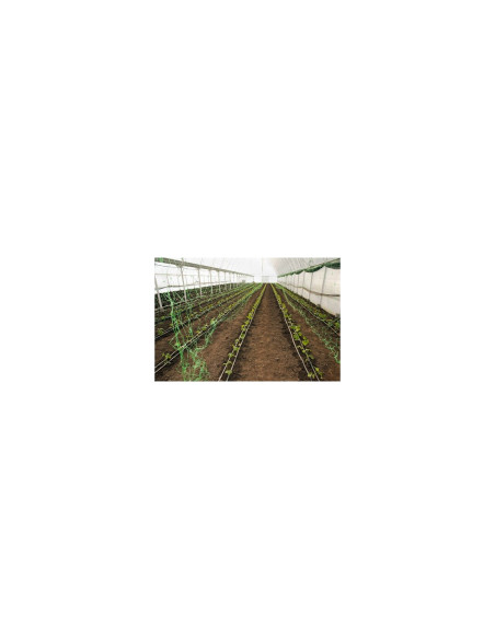 Plasa pvc, pentru urcarea plantelor in cultura castravetilor, 2x5 m