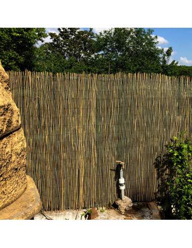 Gard/paravan din trestie, 5x1.5 m