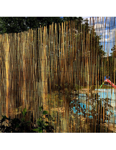 Gard/paravan din trestie, 5x2 m 2
