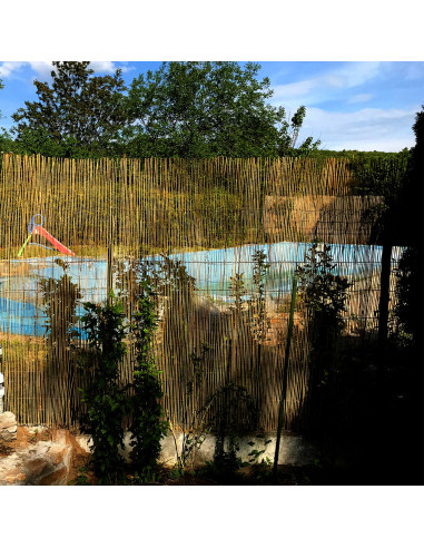 Gard/paravan din trestie, 5x2 m