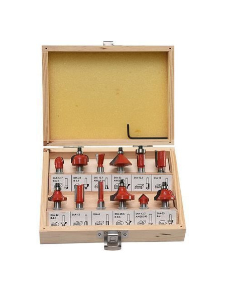 Freze pentru lemn, cutie lemn, set 12 piese, Strend Pro 