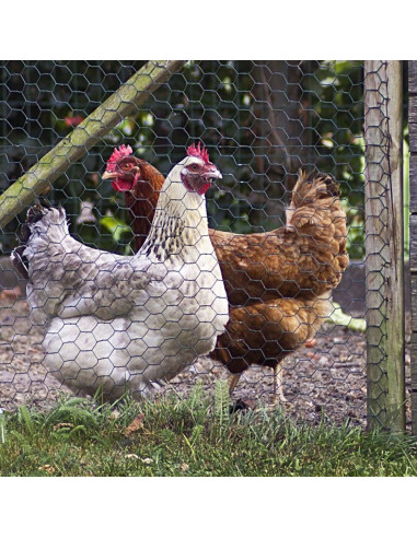 Gard plasa rabitz, pvc, verde, 25 mm, 1 mm, inaltime 1 m