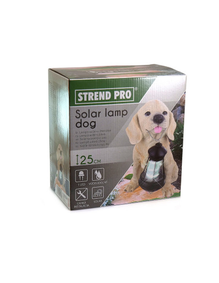 Decoratiune gradina, polirasina, lampa solara, catel cu felinar, 14x24x25 cm