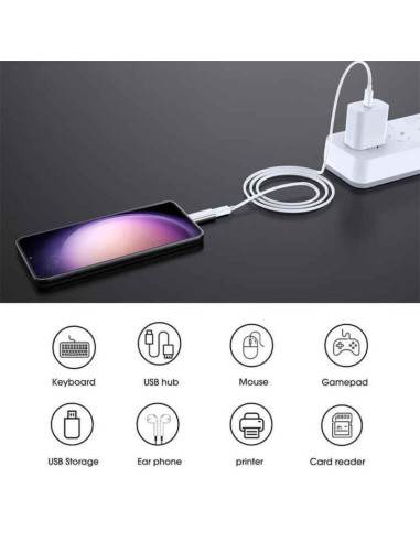 Adaptor Fast Charging, Lightning / Type-C, Redare muzica, Transfer date, 5A, Argintiu