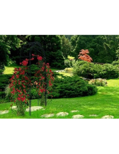 Arcada metalica, pergola, pentru gradina, 130x39x260 cm