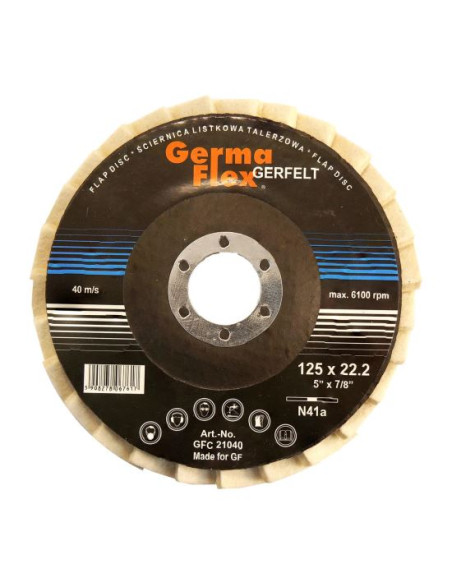 Disc pasla lamelar, 125x10x22.2 mm