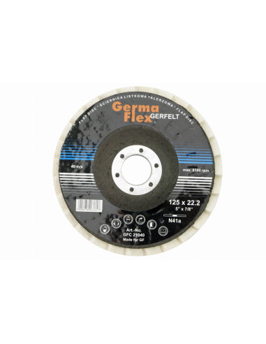 Disc pasla lamelar, 125x10x22.2 mm