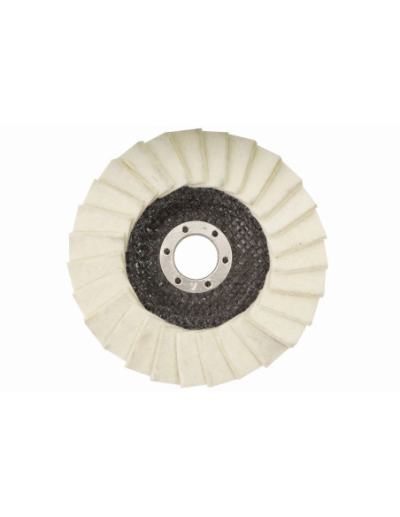 Disc pasla lamelar, 125x10x22.2 mm