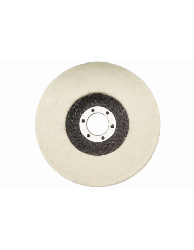 Disc lustruit, pasla, 125x10x22.2 mm