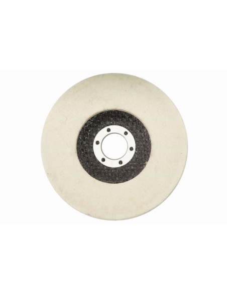 Disc lustruit, pasla, 125x10x22.2 mm