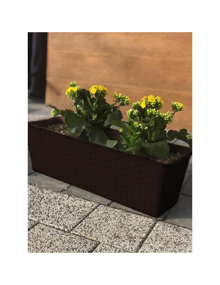 Jardiniera decorativa, maro, 68.5x17.3x15 cm, Ratolla Case P Old 