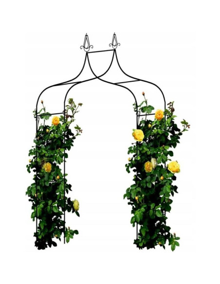 Arcada metalica, pergola, pentru gradina, ascutita, 150x37x240 cm