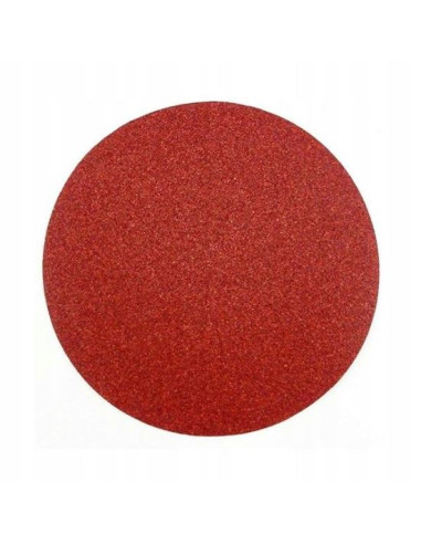 Abraziv/smirghel cu scai, P100, 125 mm