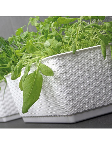 Jardiniera decorativa, Prosperplast, imitatie ratan, alba, 49.2x17.2x17.4 cm