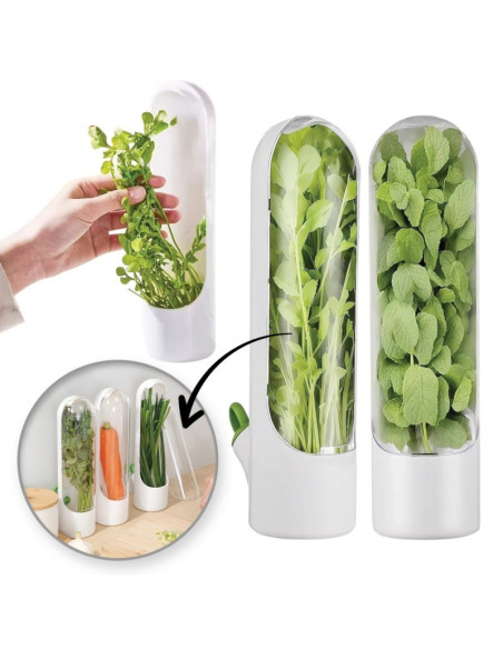 Recipient pentru depozitarea ierburilor proaspete, menta, legume pentru frigider si alte produse, 25x6.5cm, POJ08