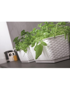 Jardiniera decorativa, Prosperplast, imitatie ratan, alba, 59x15.4x14.2 cm, Old 2