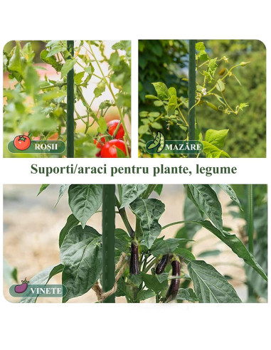 Set 20 araci/suport pentru rosii, castraveti, fasole, metal + PVC, verde, 180x1.6 cm, Artool