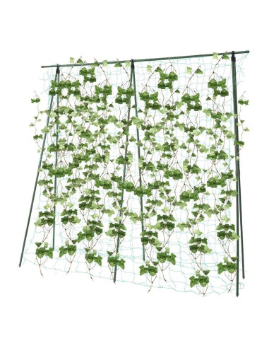 Ansamblu suport araci cu plasa pentru cresterea plantelor cataratoare, castraveti, fasole, mazare, 210 x 210 cm
