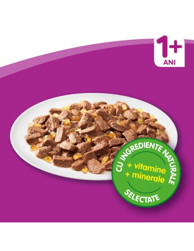 Hrana umeda pentru pisici Whiskas Multipack selectii Pasare 12x100g