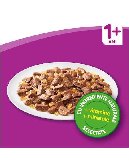 Hrana umeda pentru pisici Whiskas Multipack selectii Pasare 12x100g