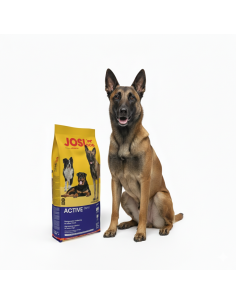 JosiDog Adult Active 15kg - Hrană Câini Activi - Calitate Josera 2