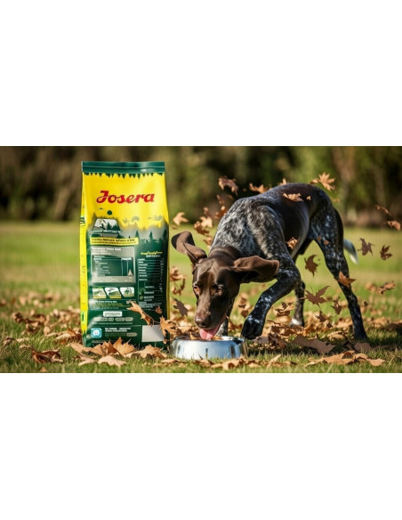 Josera Nature Energetic 12.5 kg - Preț Avantajos Best-Shop