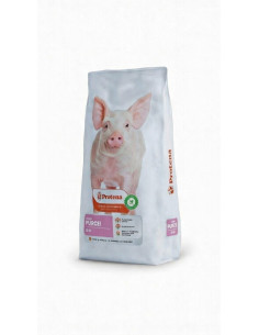 Concentrat Purcei Starter Protena 20kg - 43% Proteină | best-shop.ro