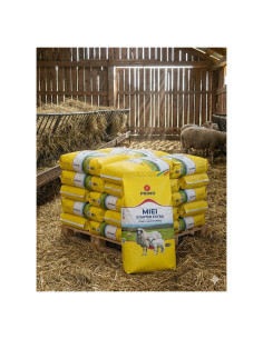Palet Furaj Miei Starter Primo Extra 600kg - Pret Depozit