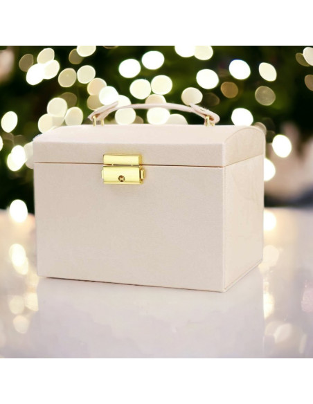 Cutie de bijuterii, caseta organizator tip valiza roz, multiple compartimente, Jollymag, PD102R