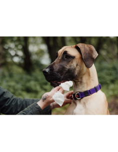 Servetele umede UltraGrime Pet-Care, 38 cm x 25 cm, 40 de bucati biodegradabile 2
