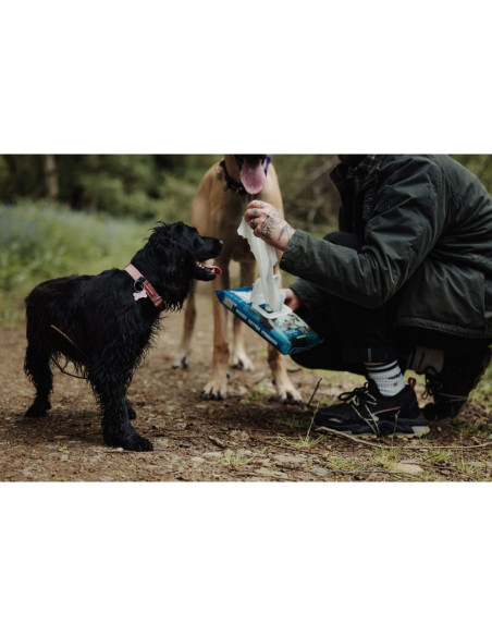 Set 6 pachete de servetele umede UltraGrime Pet-Care, 38 cm x 25 cm, 240 de bucati
