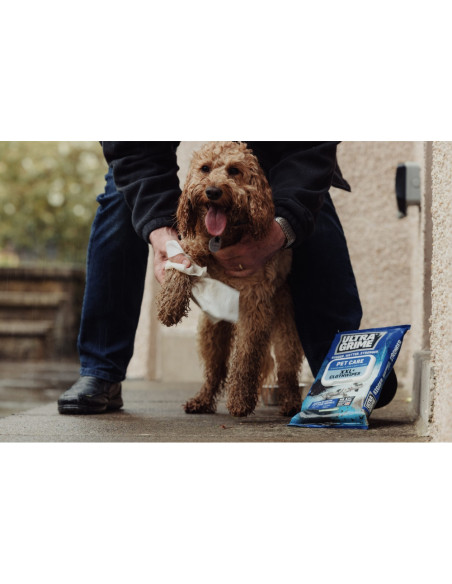Set 6 pachete de servetele umede UltraGrime Pet-Care, 38 cm x 25 cm, 240 de bucati